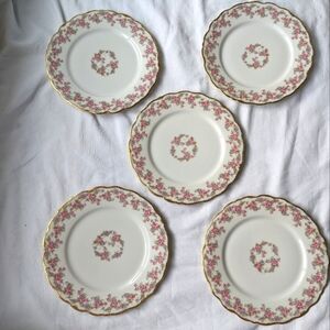 Antique Limoges France Elite Works Bridal Wreath Porcelain Luncheon Plates - 5